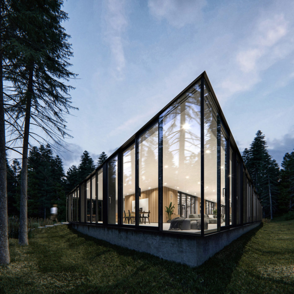 Rhomb house. Project and rendering : Environment 3D